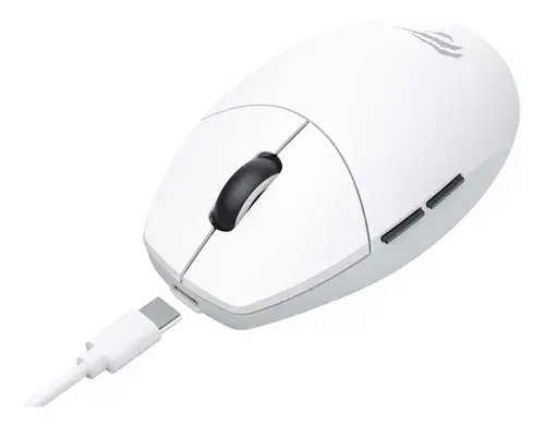 D_NQ_NP_953486-MLA83107262403_032025-O (1).webp