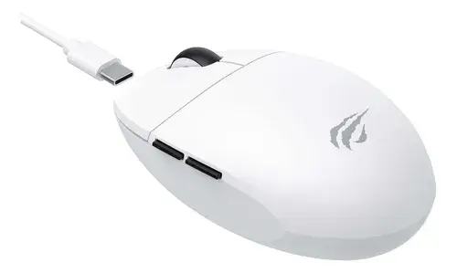 D_NQ_NP_872599-MLA83107427313_032025-O (1).webp